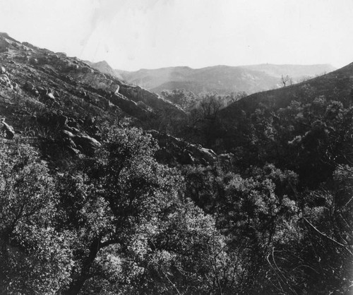 Santa Monica Mountains fire damage