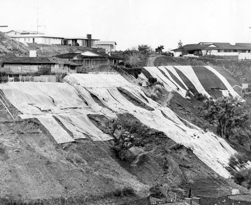 Plastic pool covers add color to Studio City hillside