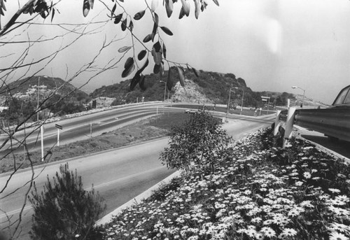 Mulholland Drive, Beverly Glen