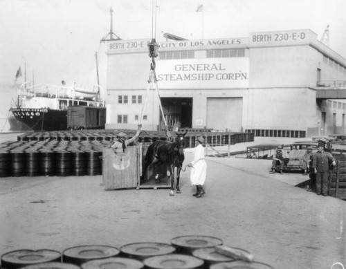 Horses arrive at harbor