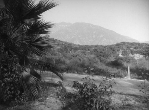 Santa Anita Avenue and Arcadia