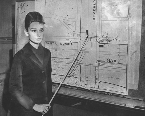 Actress Audrey Hepburn, defendant