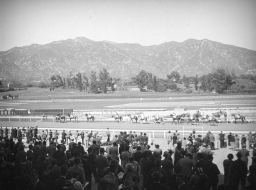 Horses walking on the track, Santa Anita Racetrack