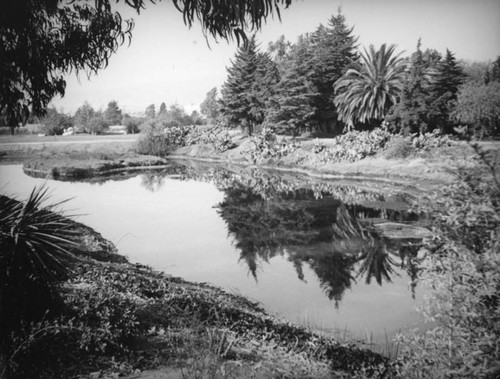 Pond at the La Brea Tar Pits