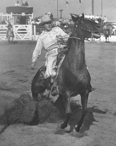 L. A. National Horse Show