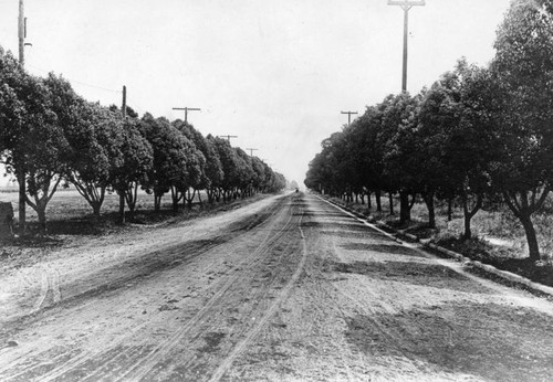 Early look at Garfield Avenue