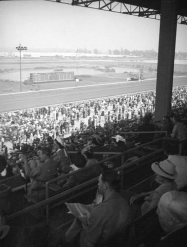 Grandstands and boxes at Hollywood Park