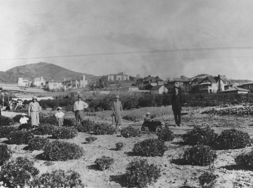 Los Feliz flower farm