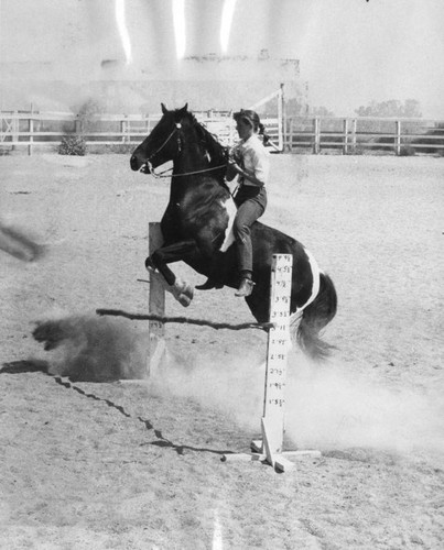 Kids' horse show to open Oct. 14