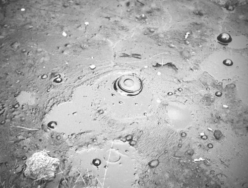 Bubbling tar close up at the La Brea Tar Pits