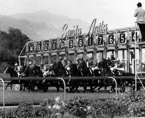 Starting gate at Santa Anita