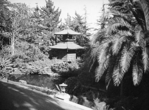 Japanese garden, Hollywood