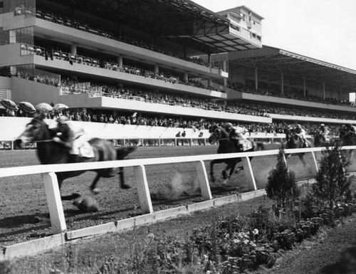 Race track at Mexico City