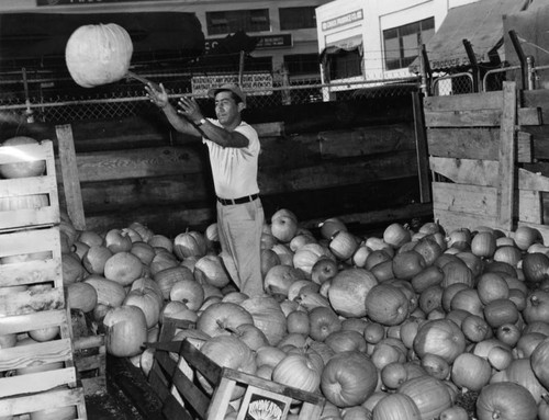 Loading pumpkins at produce market