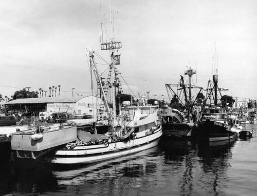 Fishing boats anchored inside the S.P. Slip, San Pedro