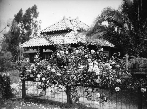 Summer house bungalow