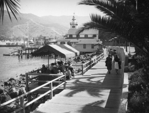 Boardwalk and rocky shore, Avalon