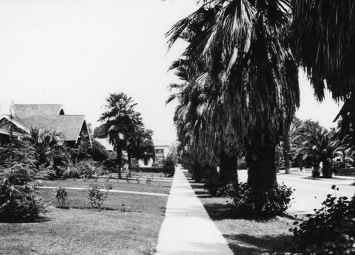 Residential street in Alhambra