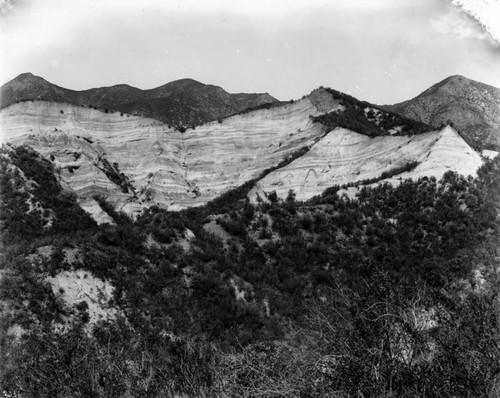 Oil prospects near Piru