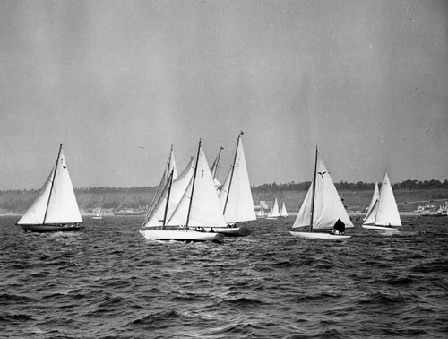 Sailing on Alamitos Bay