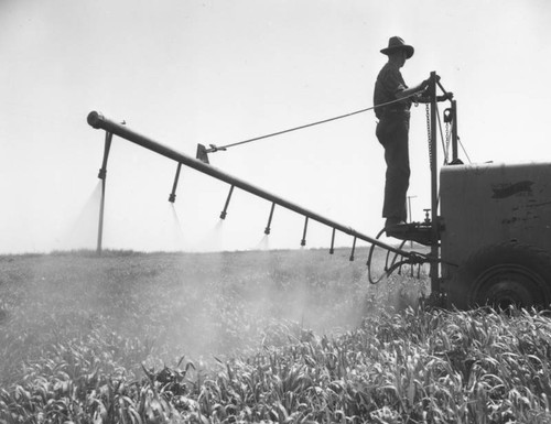 Sacramento Delta irrigation