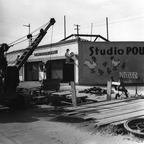 Studio Poultry Ranch