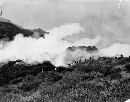 Griffith Park fire