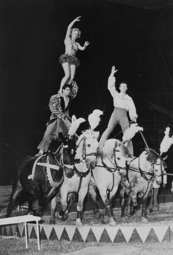 Circus horseback riders