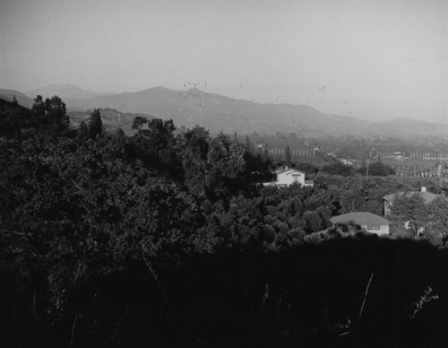 Glendora groves and homes