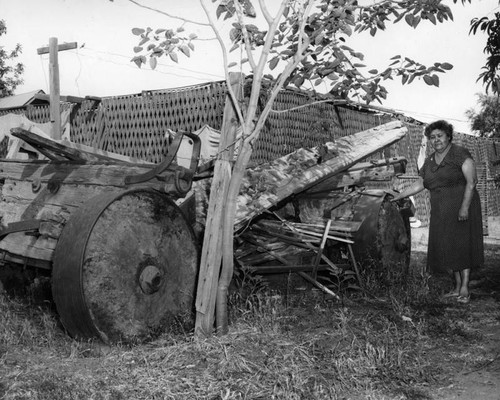 Log wagon rare relic