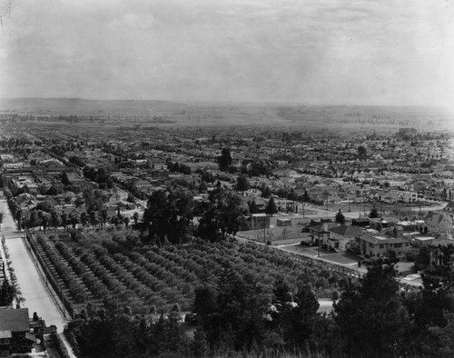 Hollywood panorama