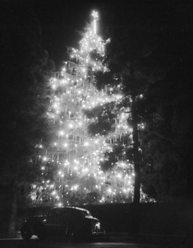 Beverly Hills Christmas light home tour, parked car