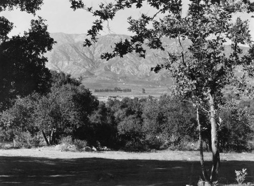 Glendale panorama