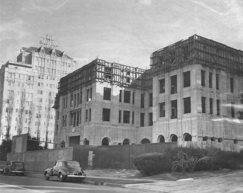 Skeleton apartment house