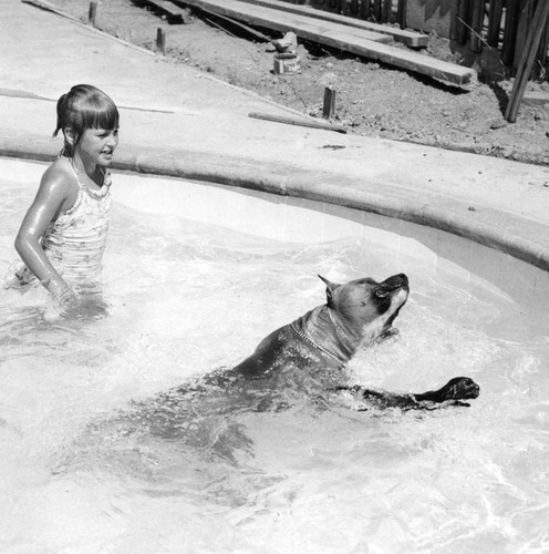 Sun Valley family's two pets take to water like ducks