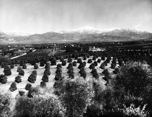 Redlands panorama