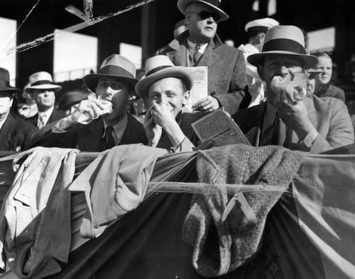 Fans at Wrigley Field