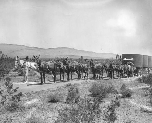 Mule team building aqueduct