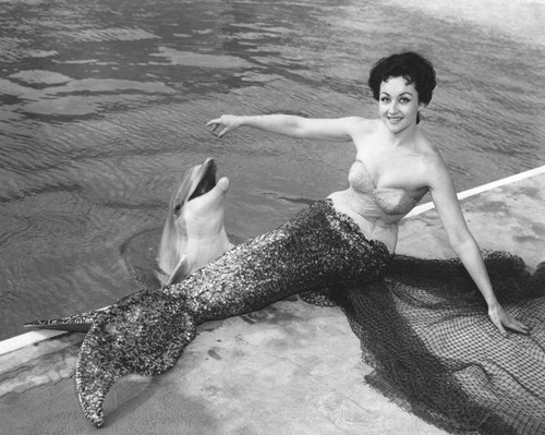 The mermaid and the porpoise