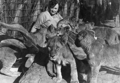 Mrs. Gay with lions