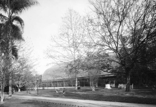 Lincoln Park conservatory, view 8