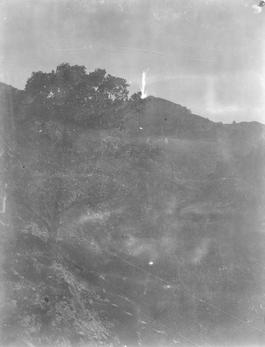 Tracks on an incline, Mount Lowe