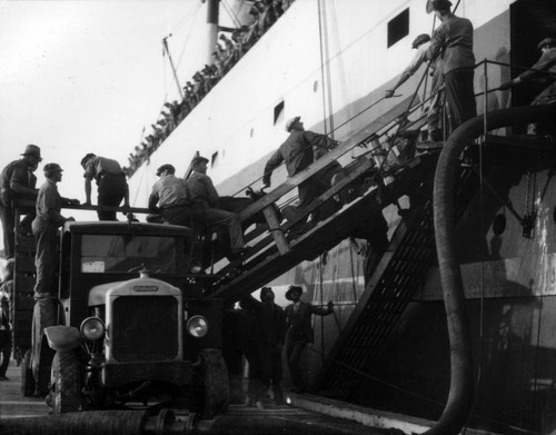 Loading sheep onto the C.A. Larsen