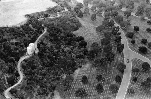 Forest Lawn Cemetery