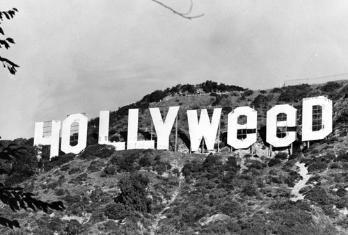 Hollyweed