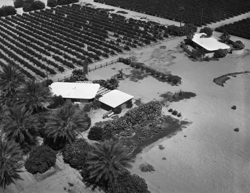 Palm Springs homes