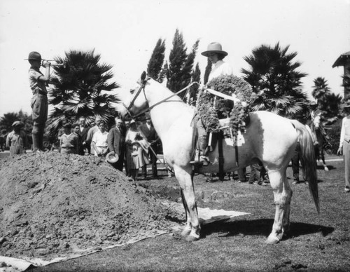 Funeral for a horse