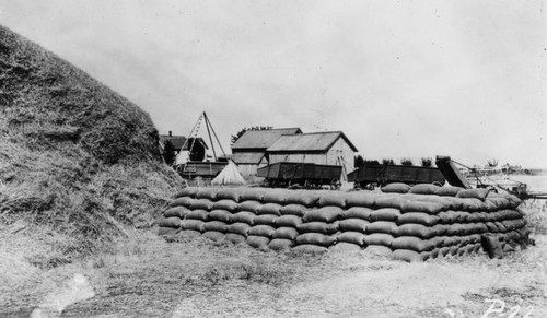 Bags of wheat