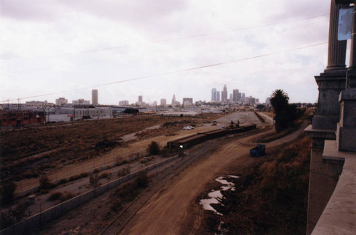 Abandoned Cornfield, view 5