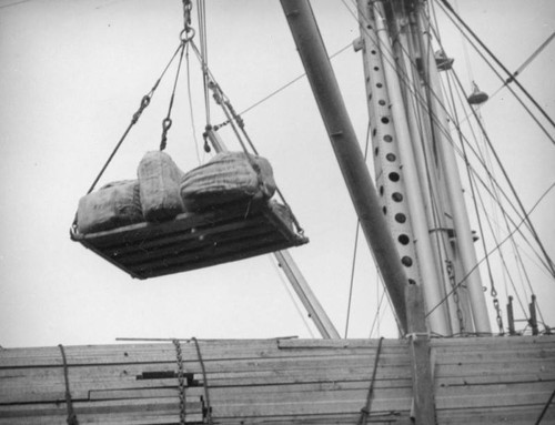 L. A. Harbor, loading freight onto the Coya